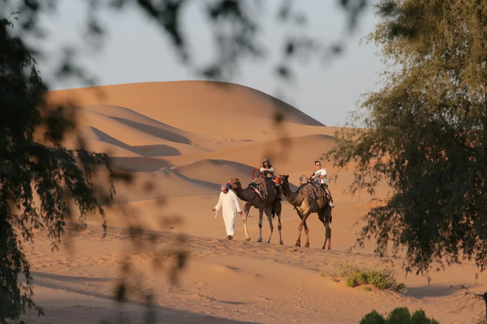 Camel ride across the golden dunes of the Dubai desert at sunset — photo 1