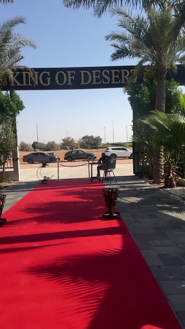 Desert camp and dune bashing experience in Dubai