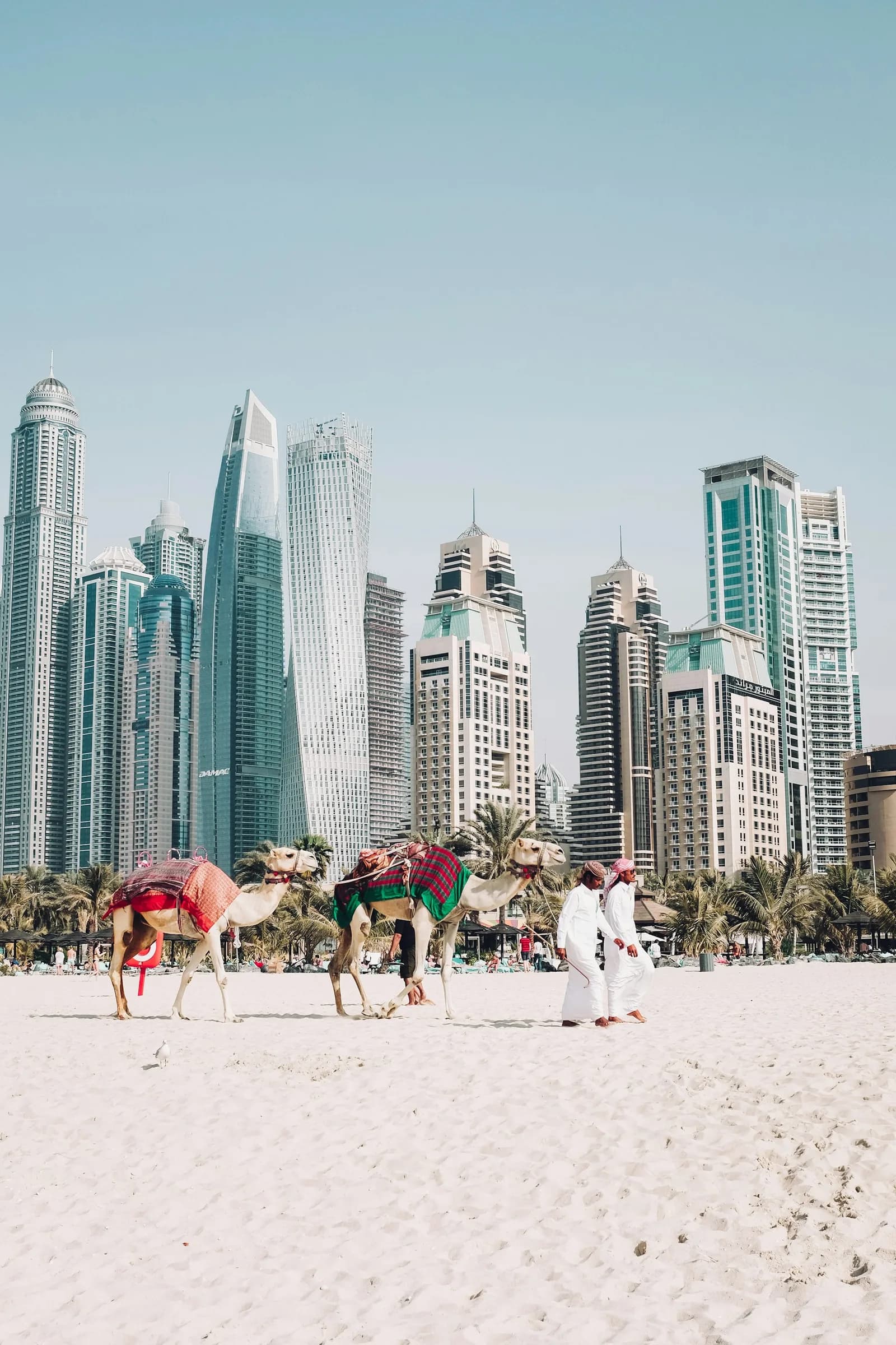 🐪 Camel Ride