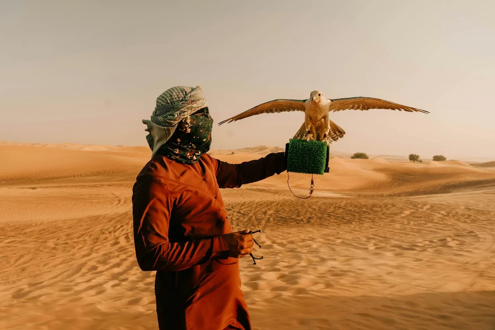🦅 Falconry Show